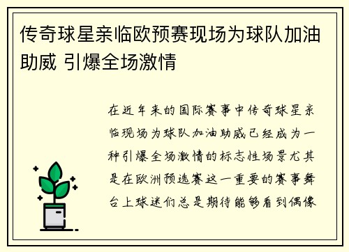 传奇球星亲临欧预赛现场为球队加油助威 引爆全场激情
