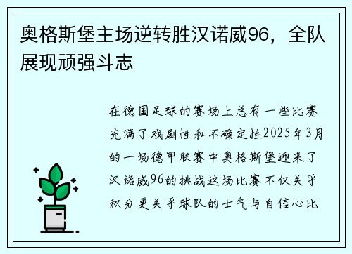 奥格斯堡主场逆转胜汉诺威96，全队展现顽强斗志
