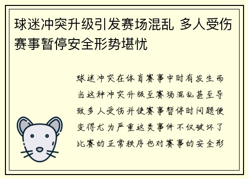 球迷冲突升级引发赛场混乱 多人受伤赛事暂停安全形势堪忧