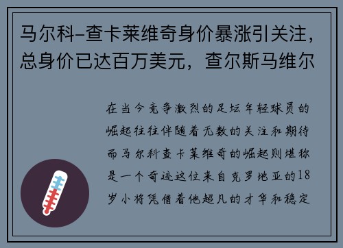 马尔科-查卡莱维奇身价暴涨引关注，总身价已达百万美元，查尔斯马维尔摄影作品